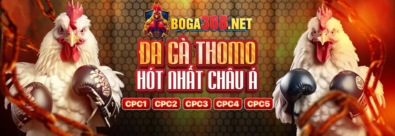 Chính Sách Cờ Bạc Có Trách Nhiệm v7bet win