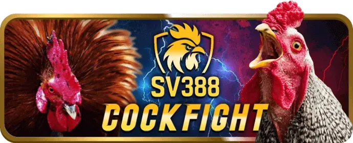Sứ mệnh của v7bet win trong việc phục vụ người chơi